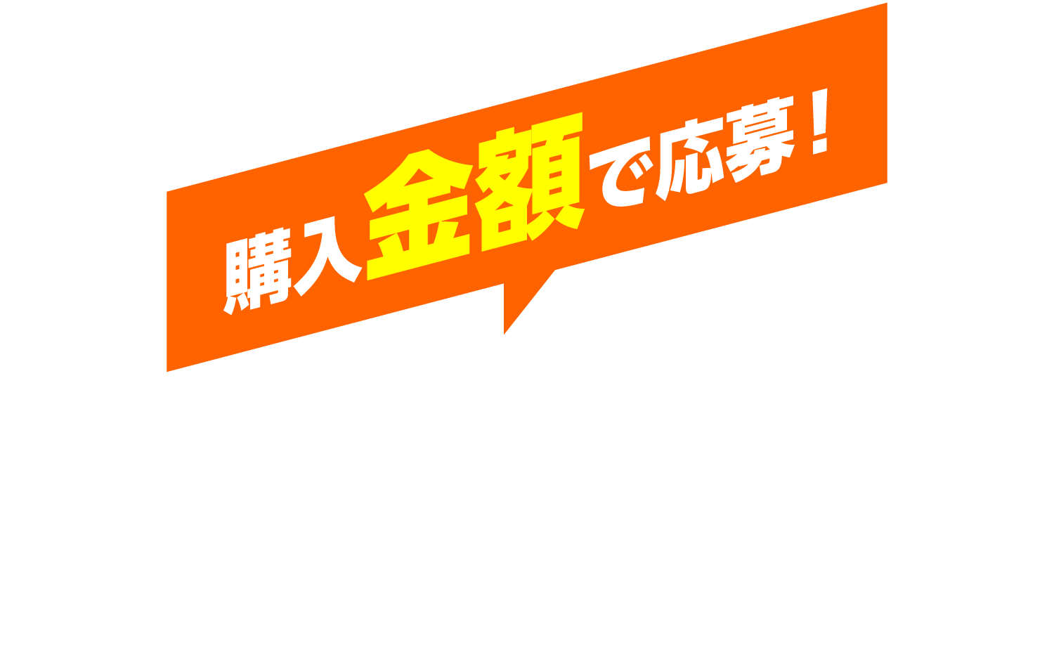購入金額で応募！